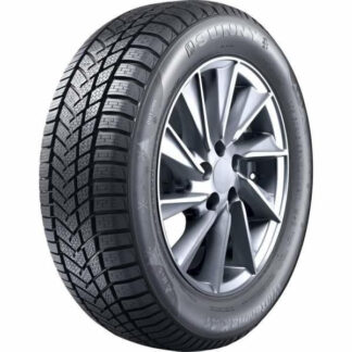 Anvelope iarna 215/55 R17 98V XL Sunny NW211